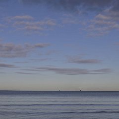 Ulrich (14)