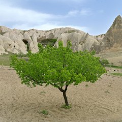 Ulrich_Reiss-2