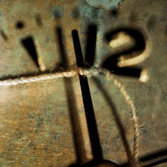 FFV-Roswitha_Weber-2